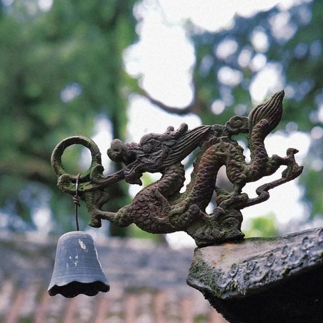 光屹新普敦直播号