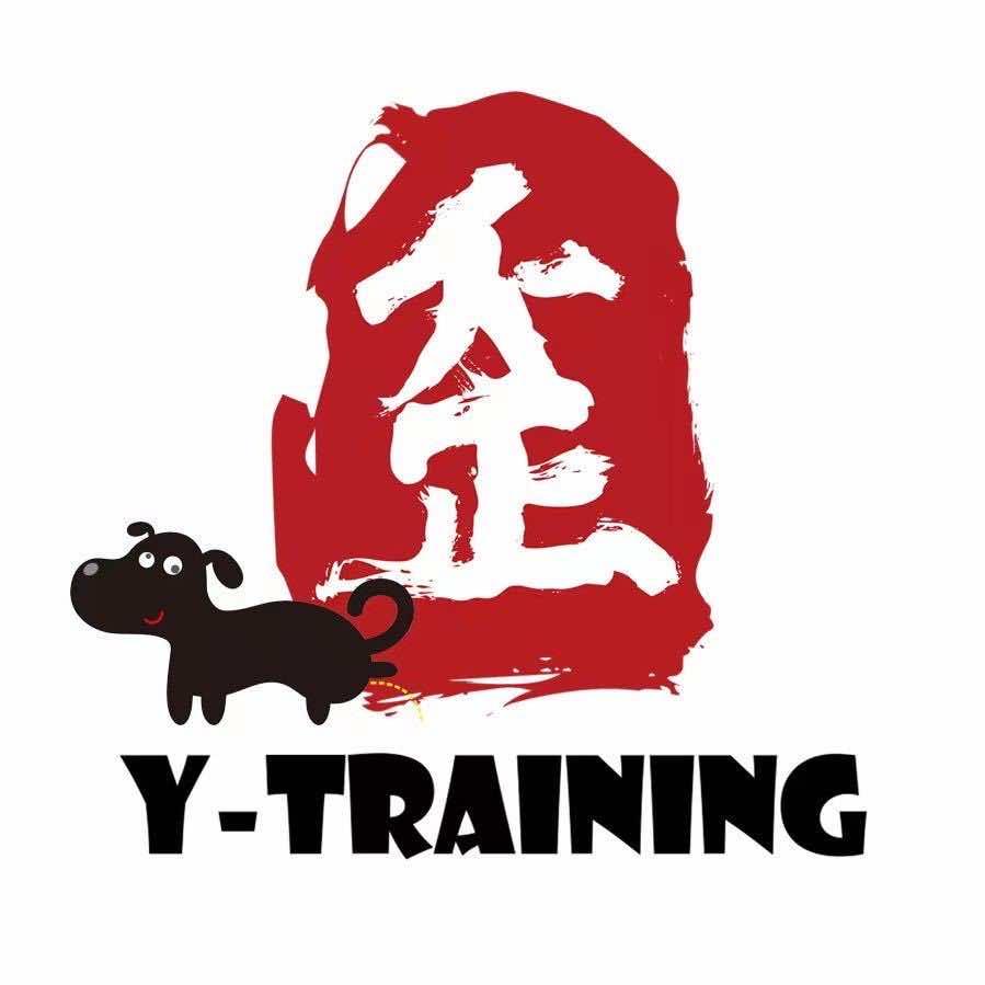 不正健身Y-Training