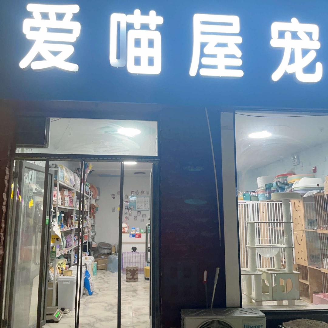 爱喵屋宠物