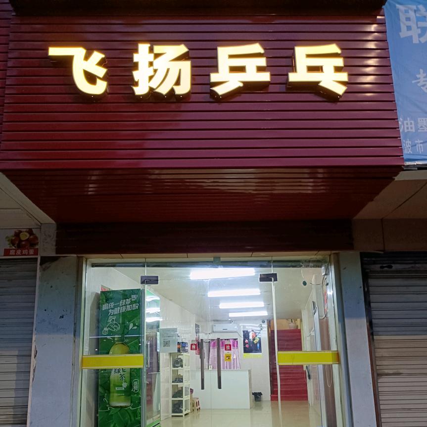 飞扬乒乓球