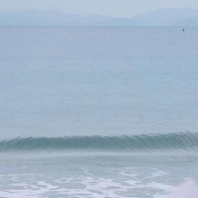 广西芬旭昭网络科技有限公司