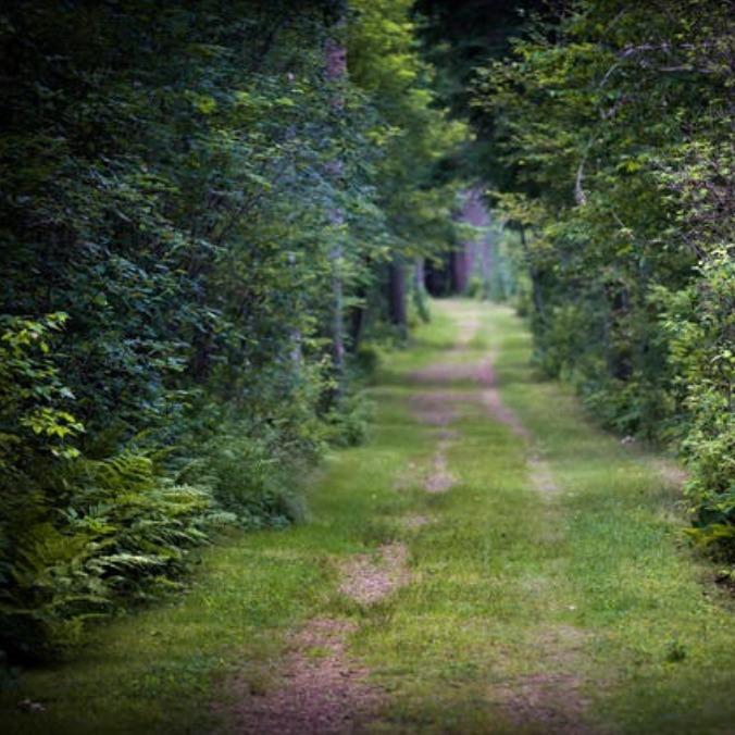 港澳研究院叶老师-霓栩