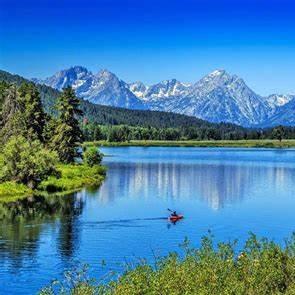 梦动hdowa直播号