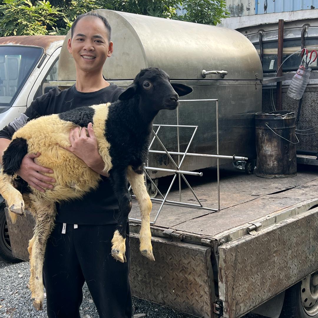 阿表流动烤全羊