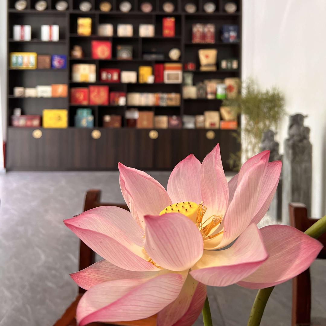 贩卖人间烟火🍃