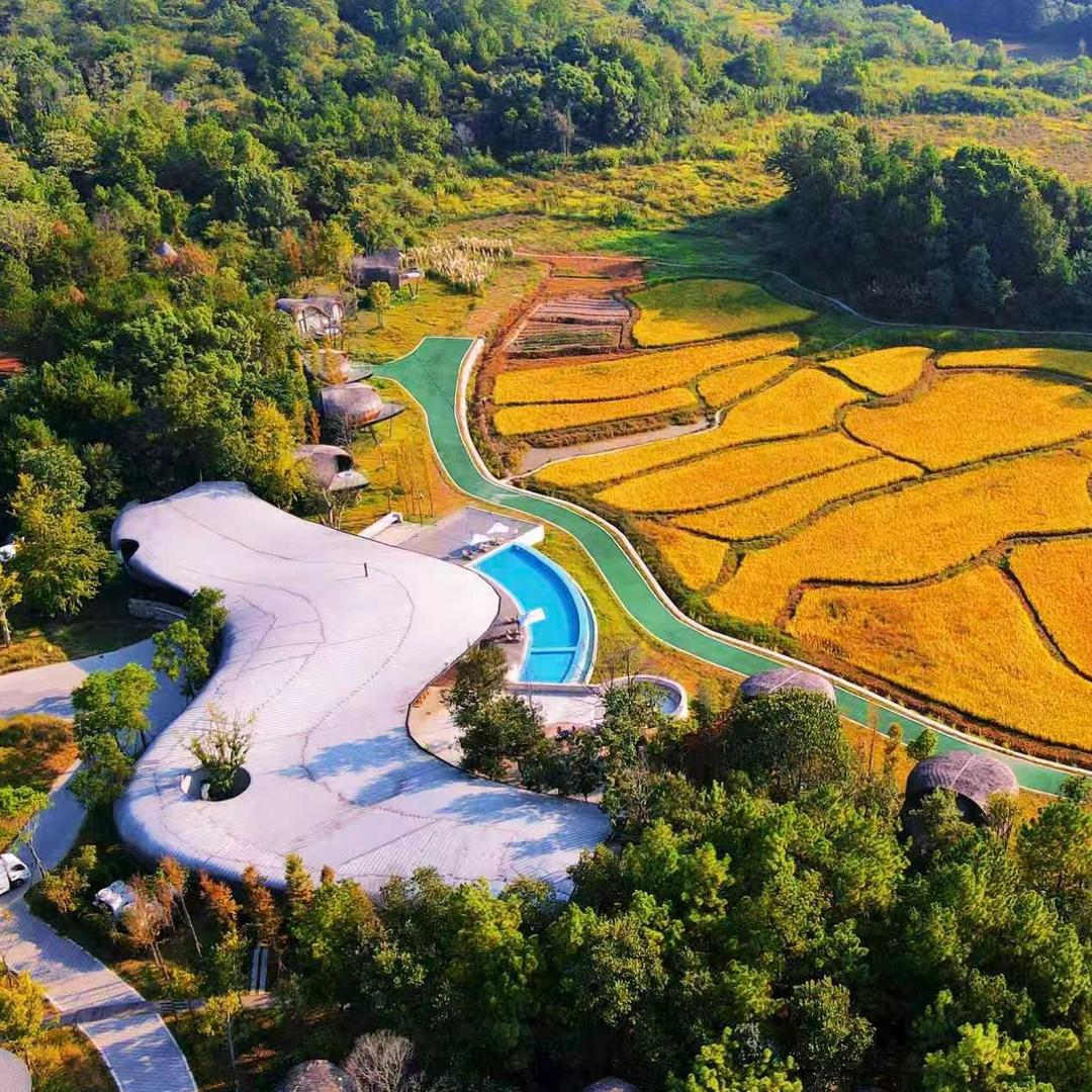 新余树蛙部落-野生老师