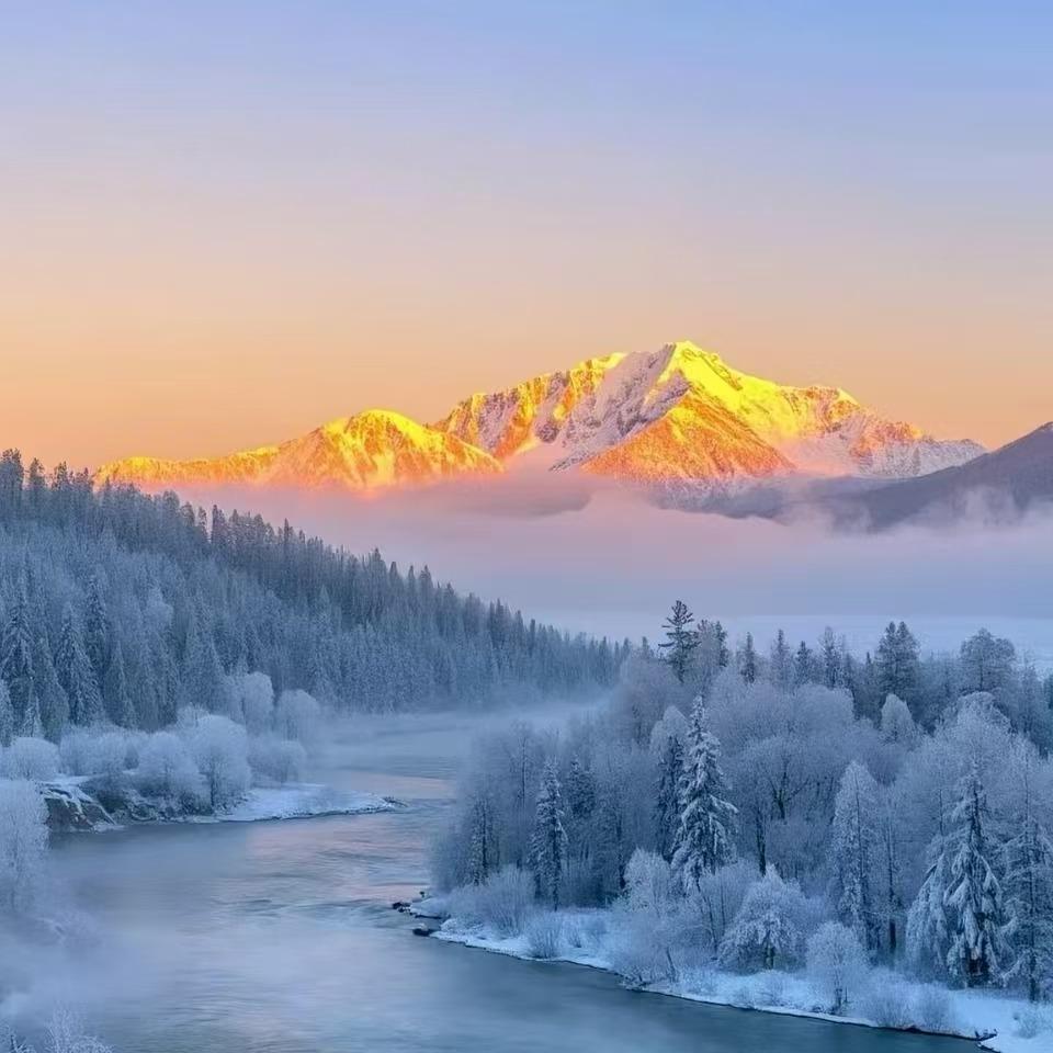 南城宏图多一维直播一号