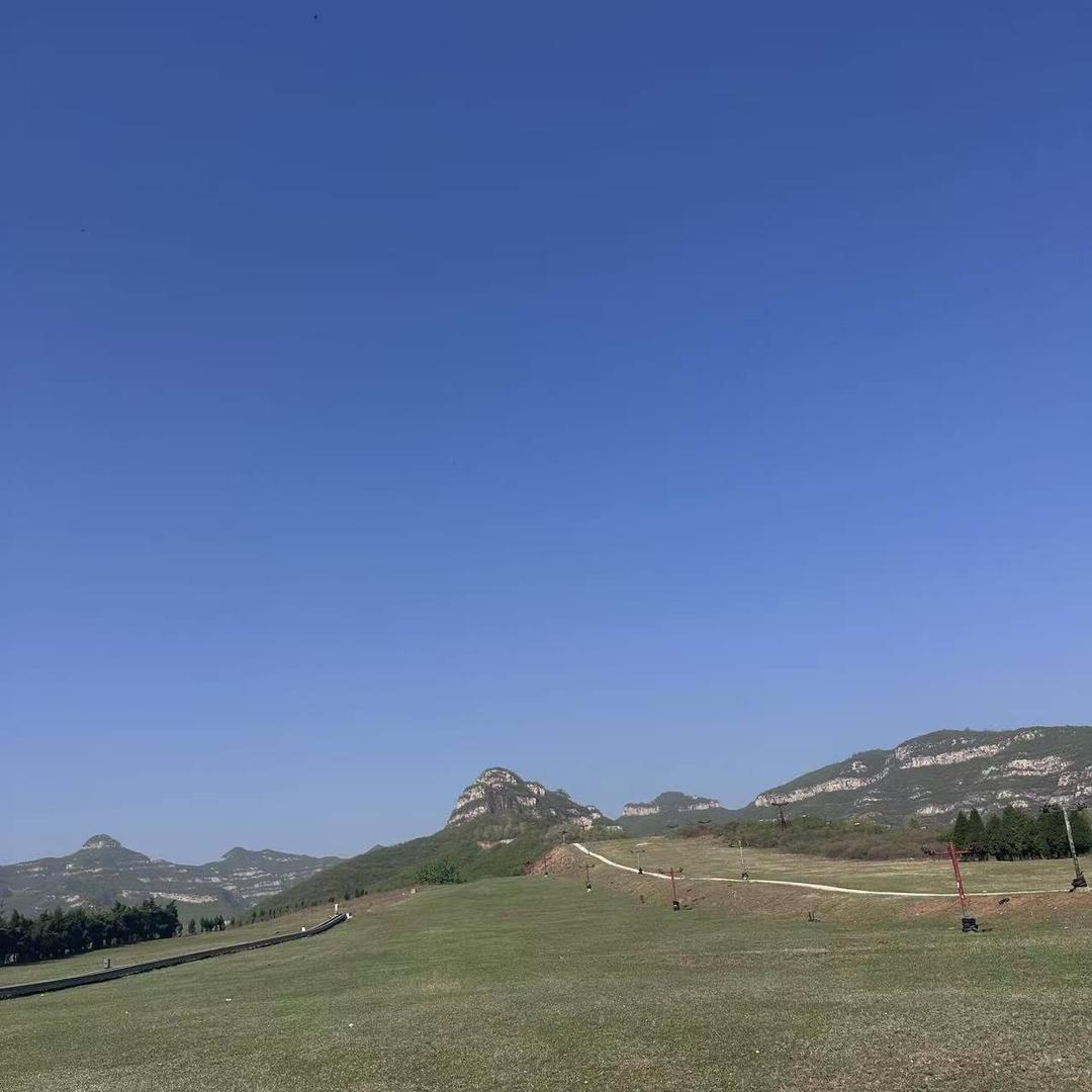 雅博利