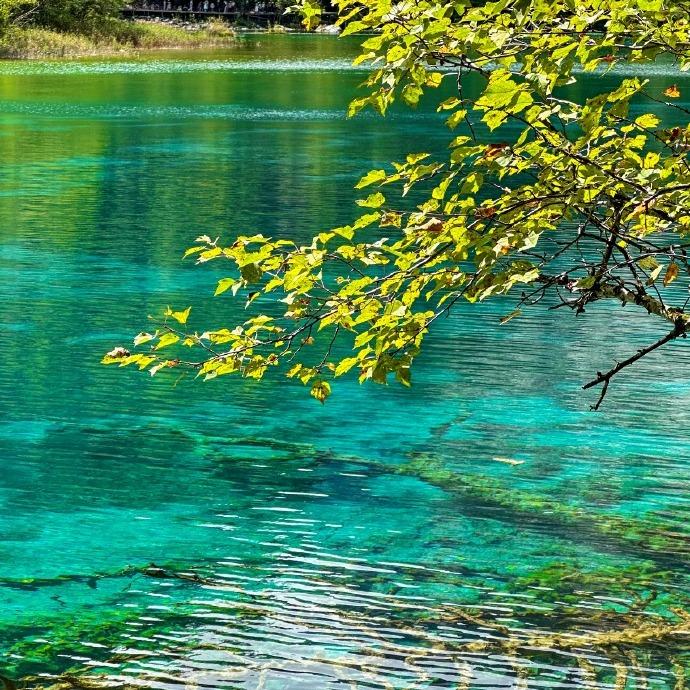 盼尚教育咨询有限公司