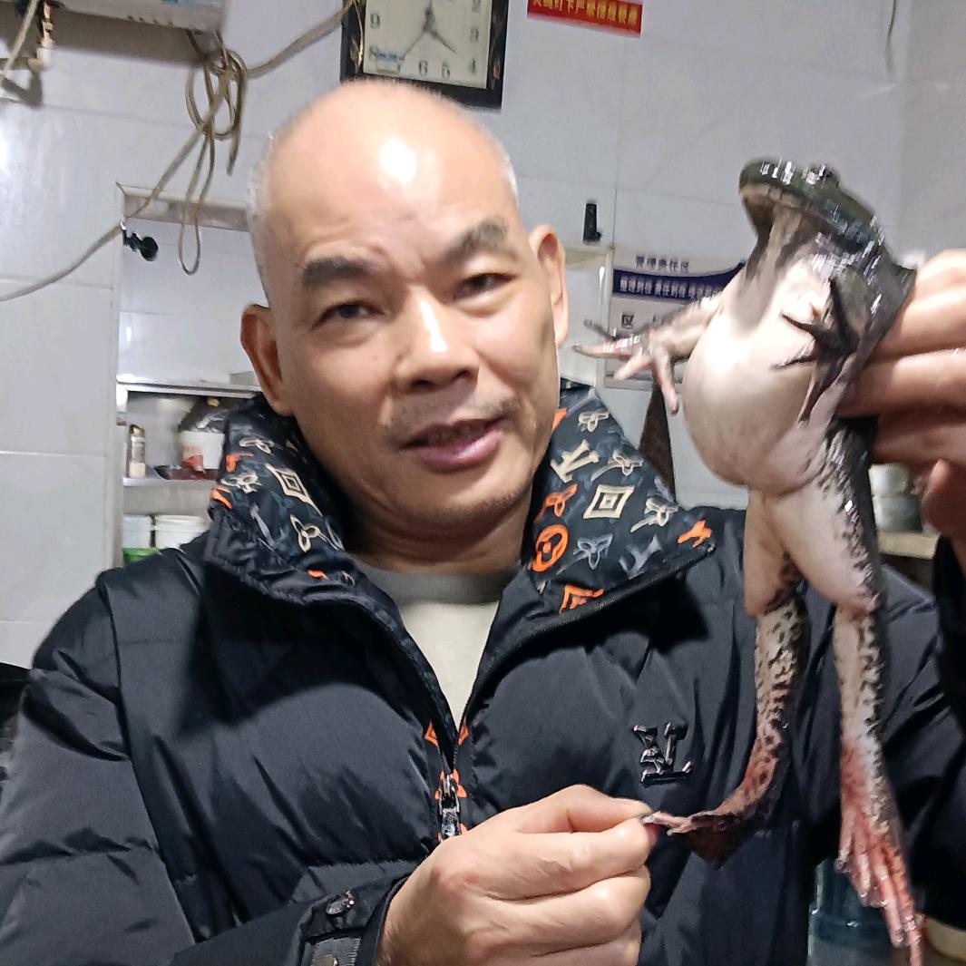蛙小六季哥
