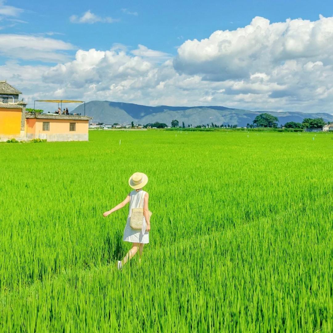 享游云南（同旅专场）