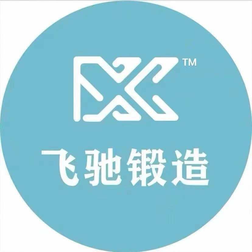 飞驰锻造轮毂（置换）