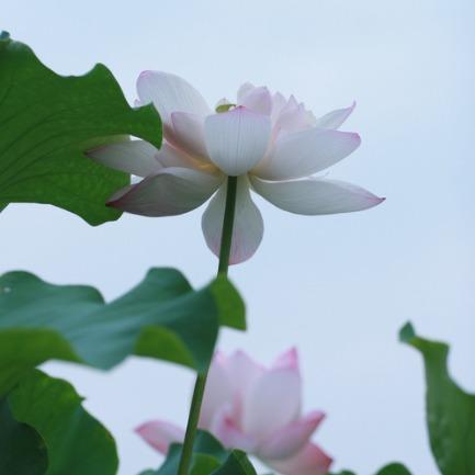 姚安县孙朝芹商店姚安县斌文商贸商行