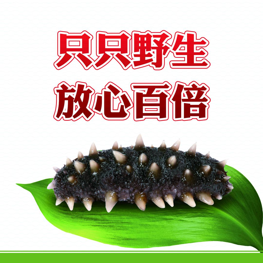 元龙岛海参工厂店