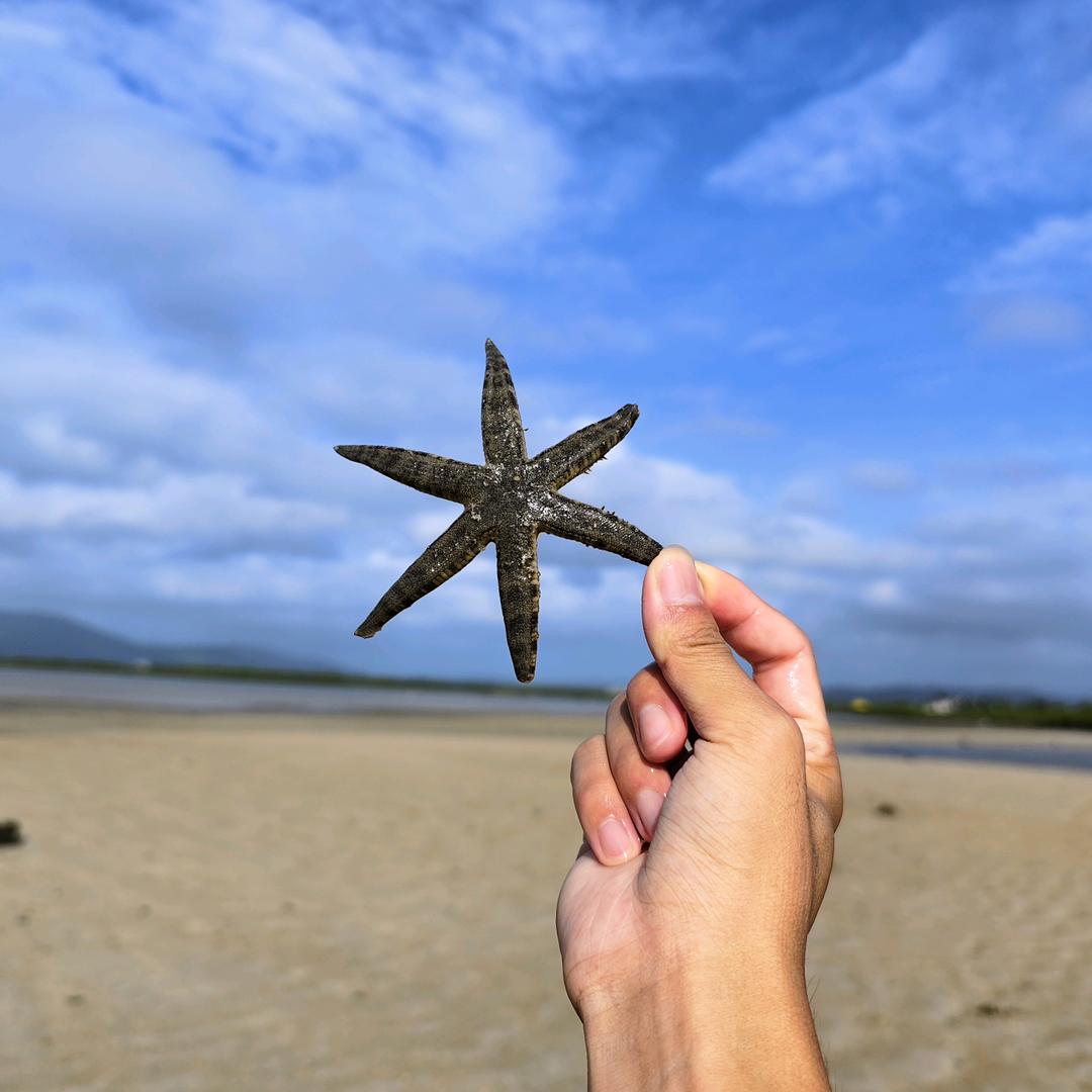 陵水赶海中心