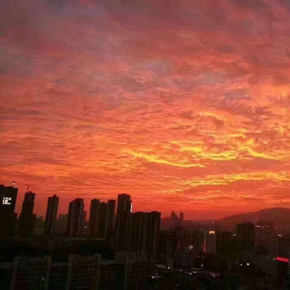 美美星缘直播号