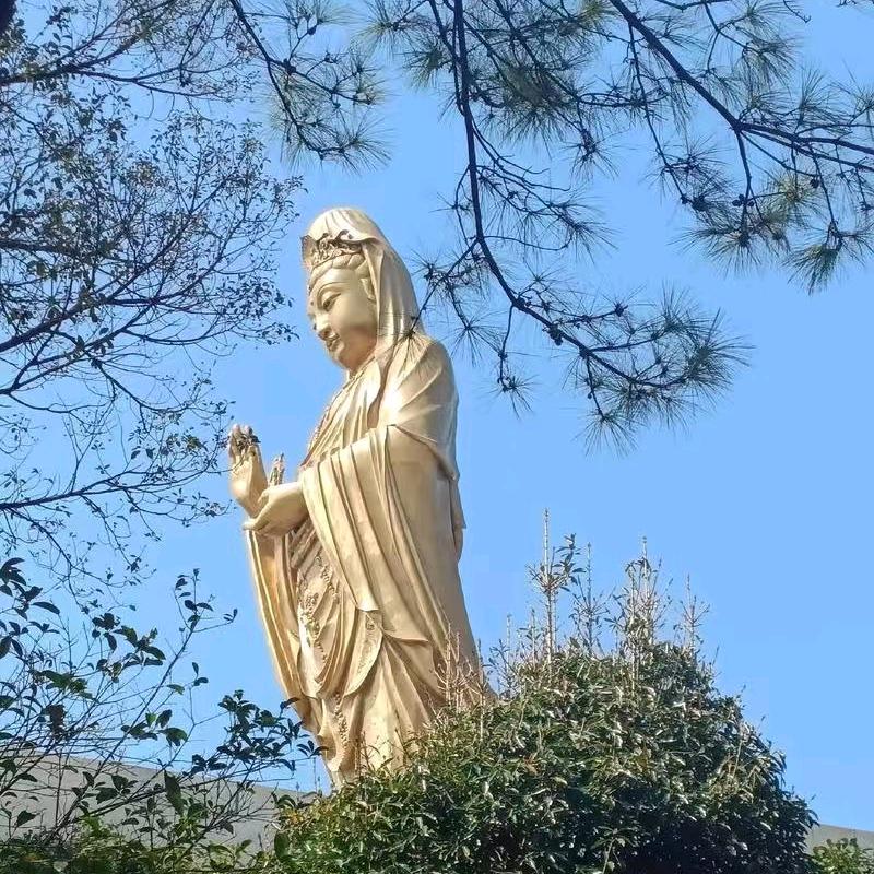 朱家尖感恩客栈官方号