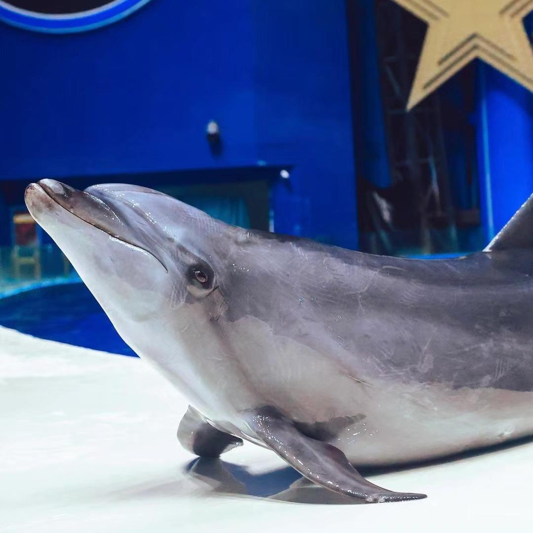 无锡融创海世界