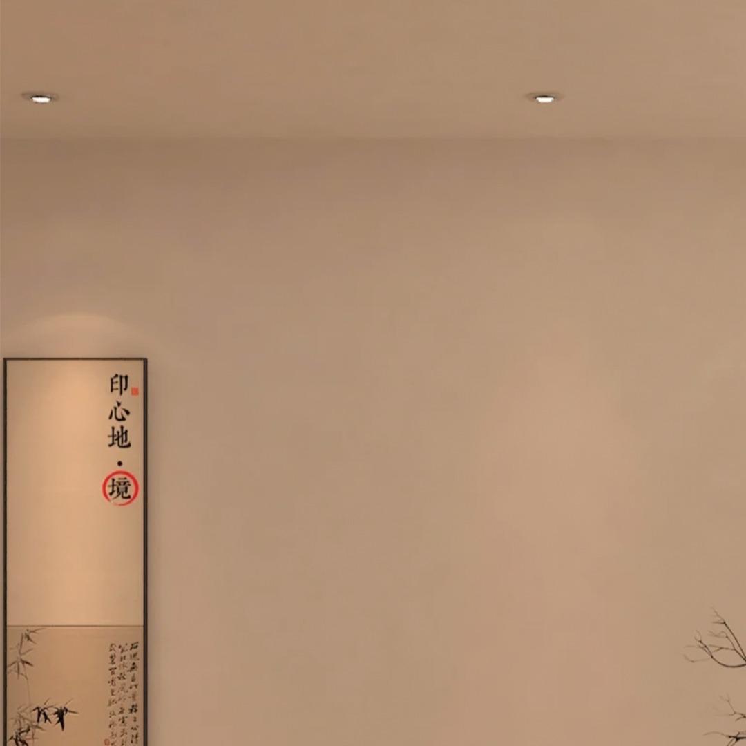 黎老师直播号