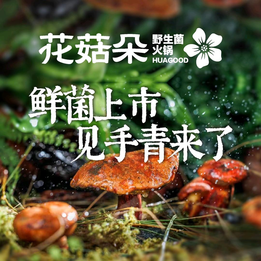 花菇朵·山野鲜货野生菌火锅