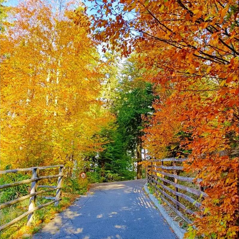 才恒家纺营销号