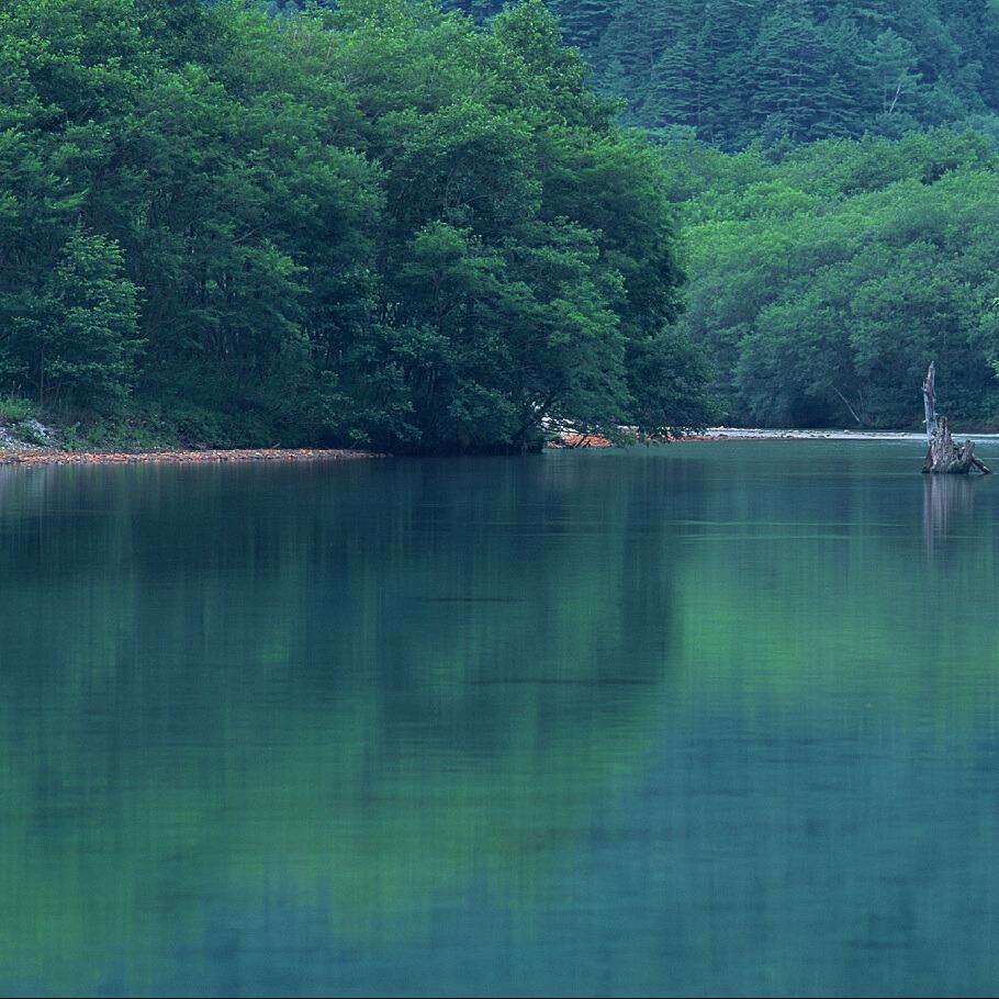 天天便利店bba直播号