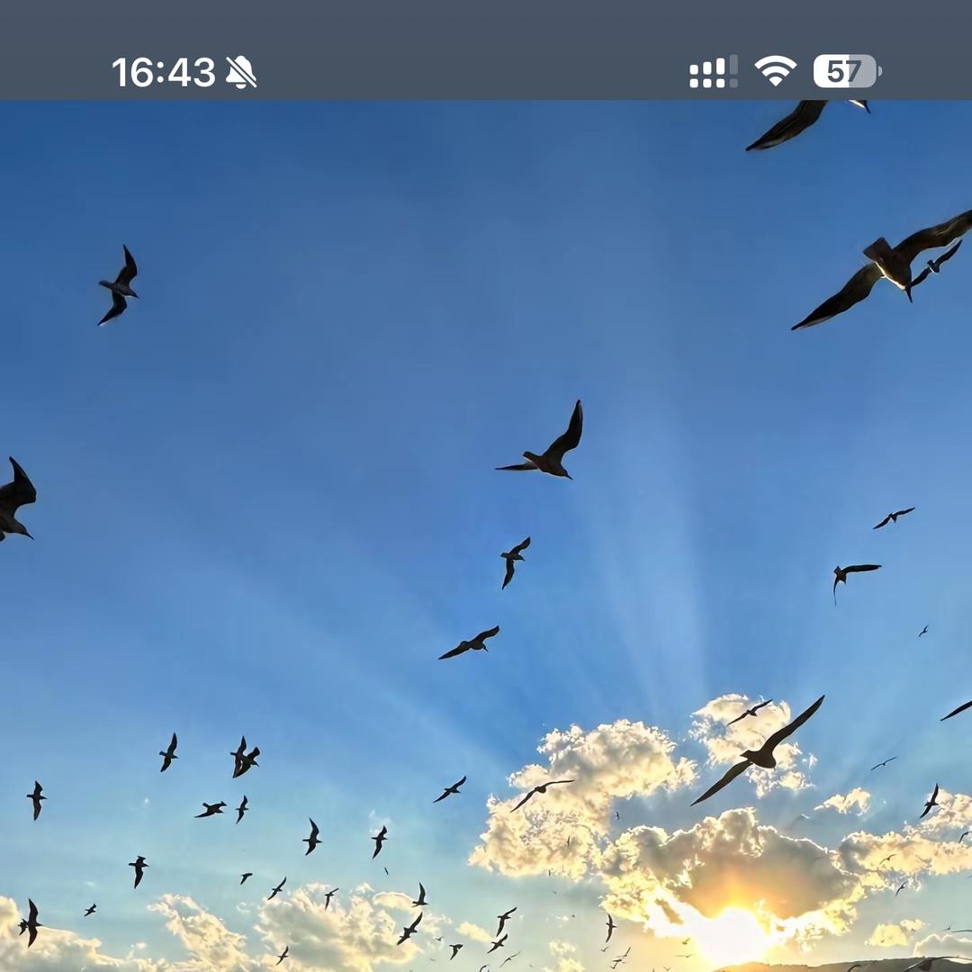 果通网络1