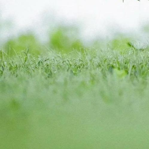 智能家电总厂直销B5直播号