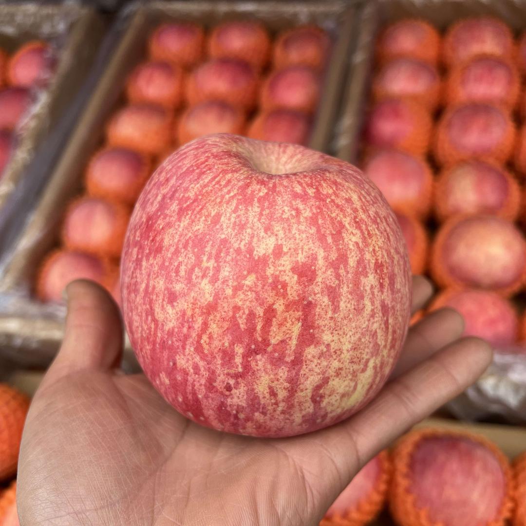 梁山红果品-西安雨润水果批发