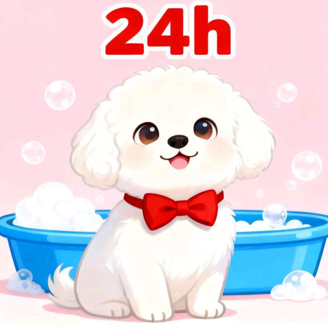 小鲸姨宠物香香家