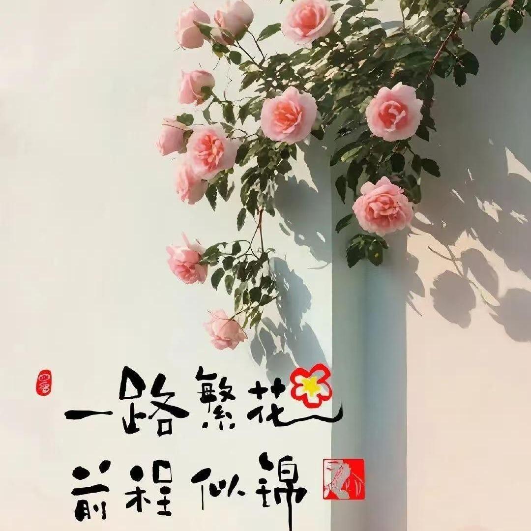 繁花广州毅钰商贸直播号