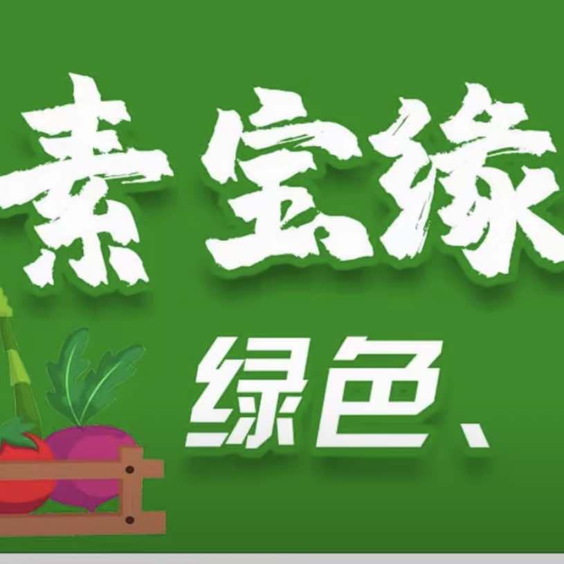 素宝缘