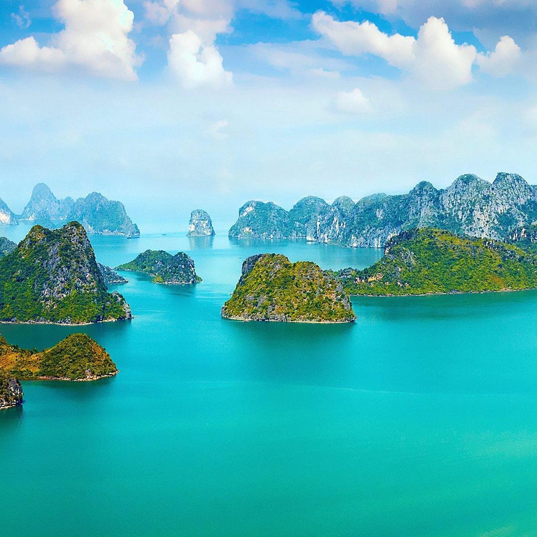 和良老师直播号