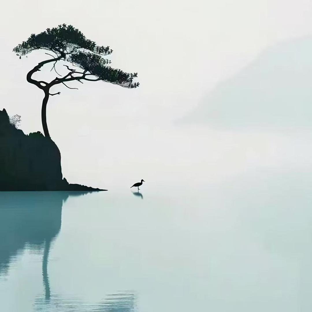 4黄开心向上直播号