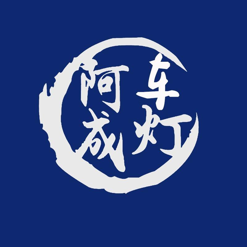 超视界·阿成改灯总店专用号