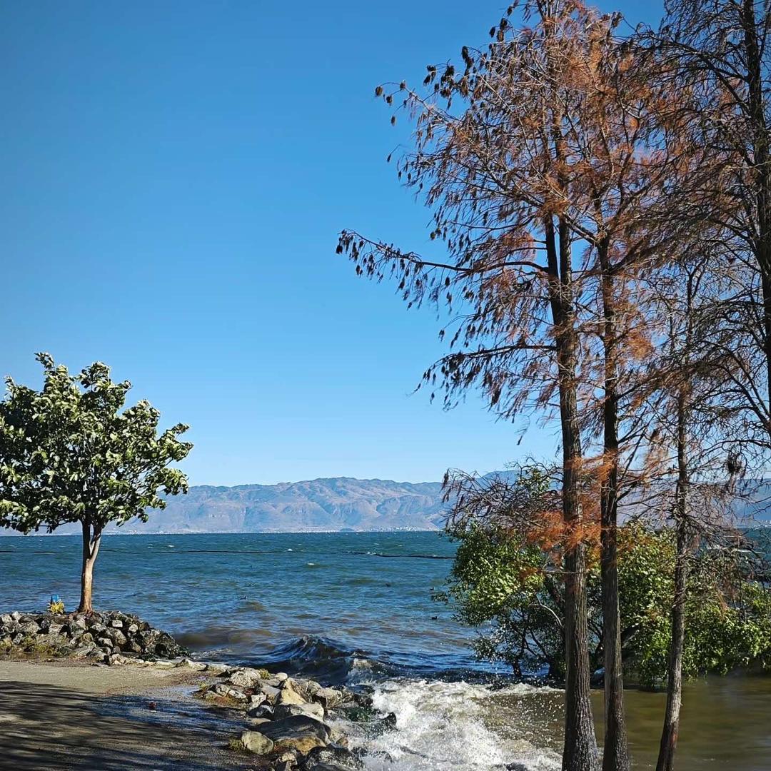 福安市义洪烟酒商行专用号