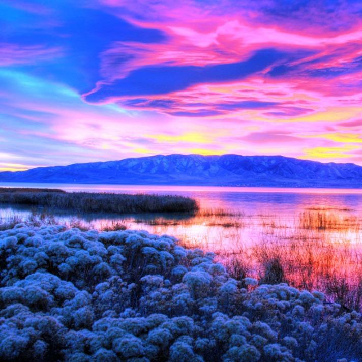 龙行天韵   -少烨全