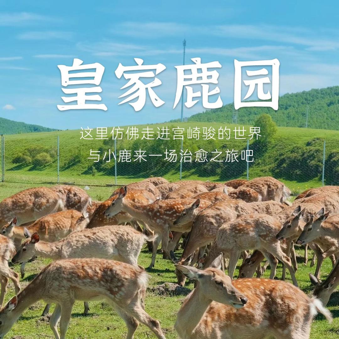乌兰布统皇家鹿园