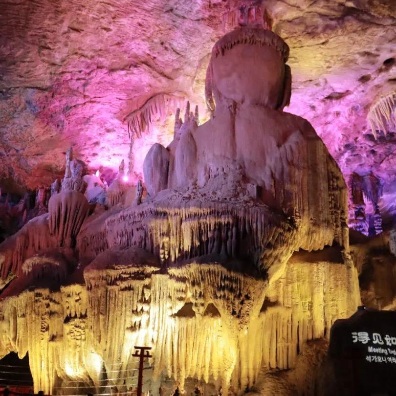 独山天洞种草官