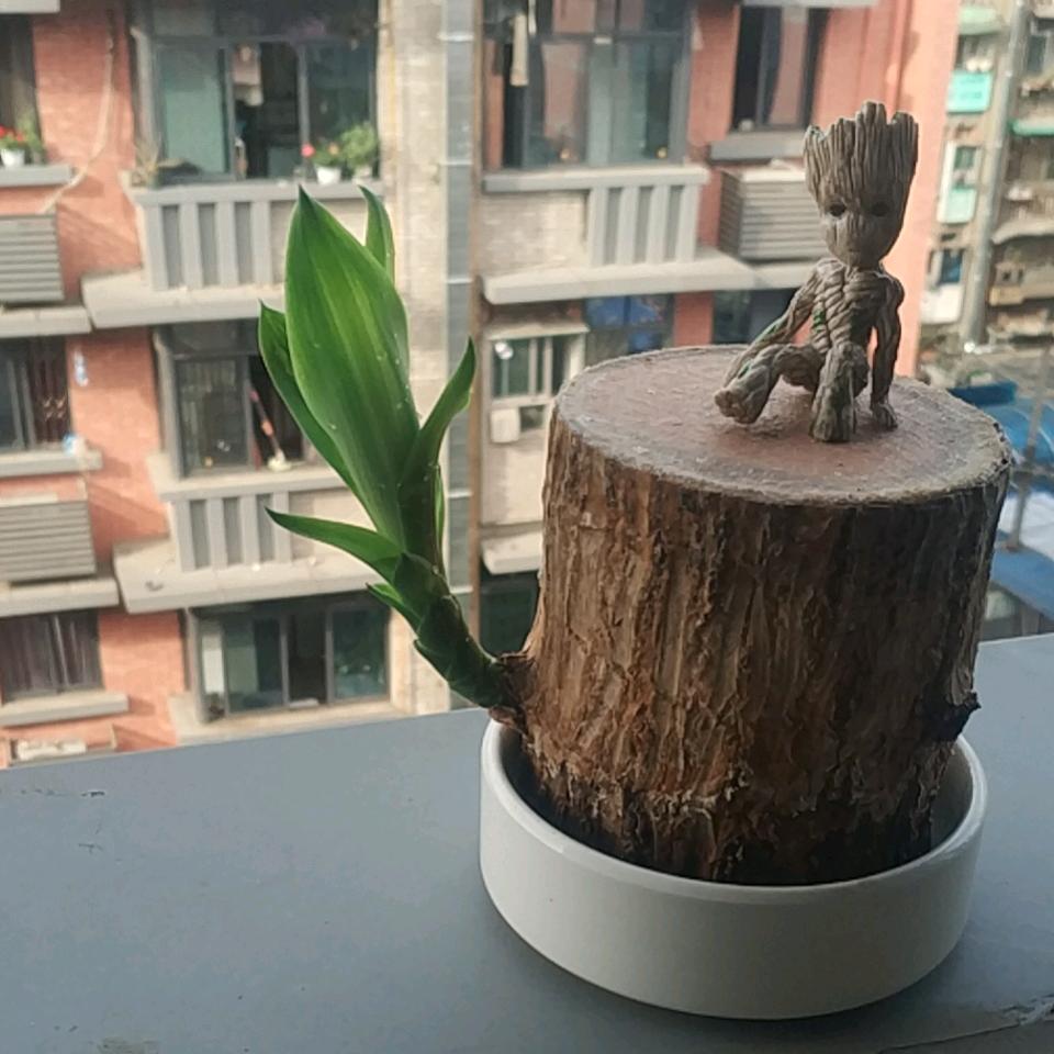 走出去