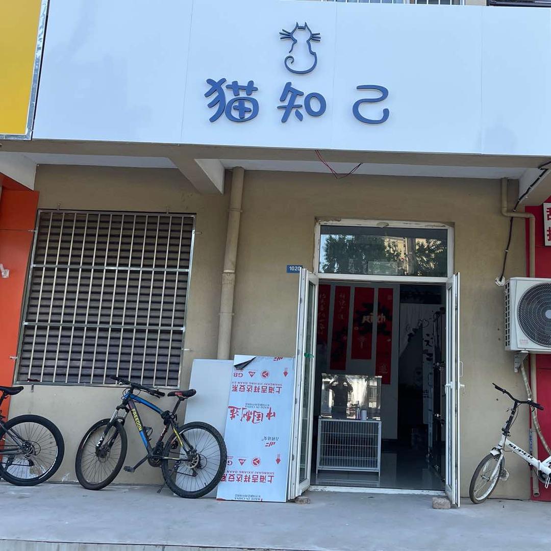 猫知己宠物店