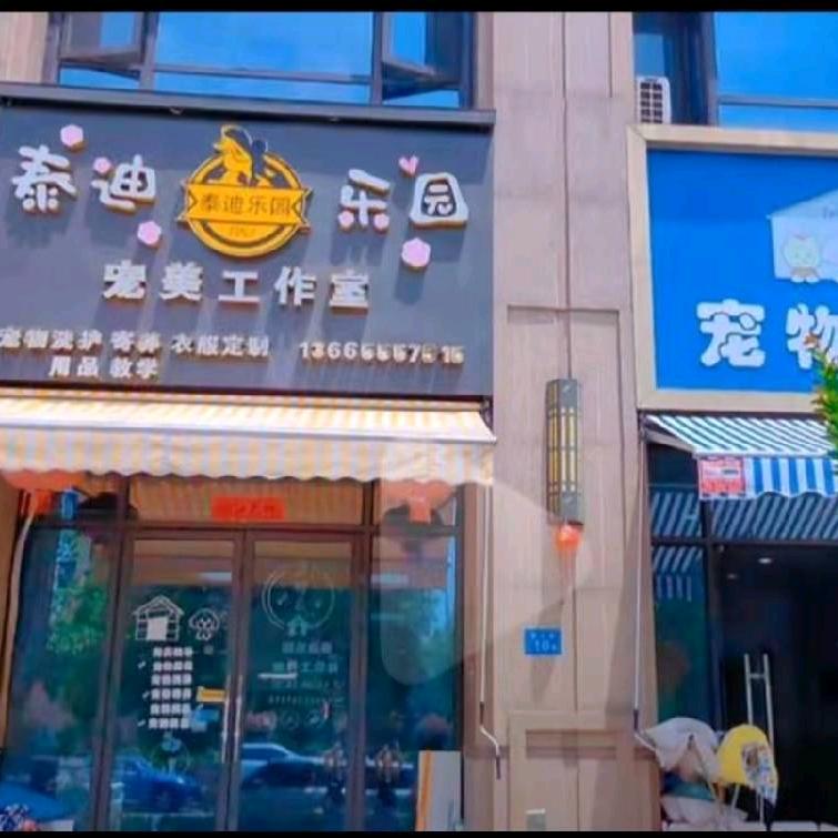 泰迪乐园宠美工作室官方号