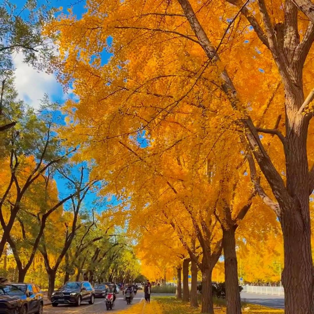 小徐浏阳市茂逸易商贸有限公司