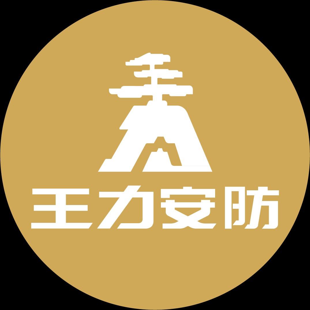 王力安防