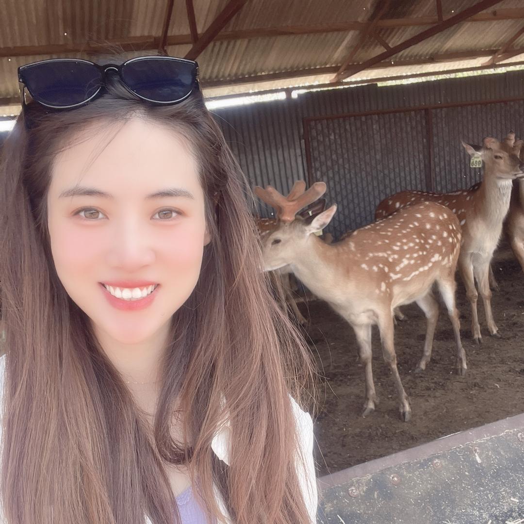 鹿乡杨总——利鹿鹿经销