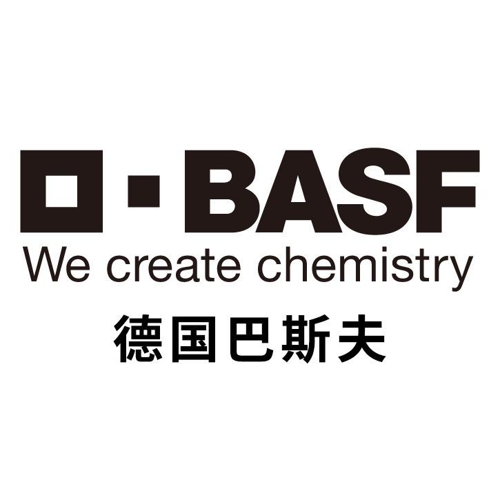 德国巴斯夫汽车原厂膜(临安旗舰店)