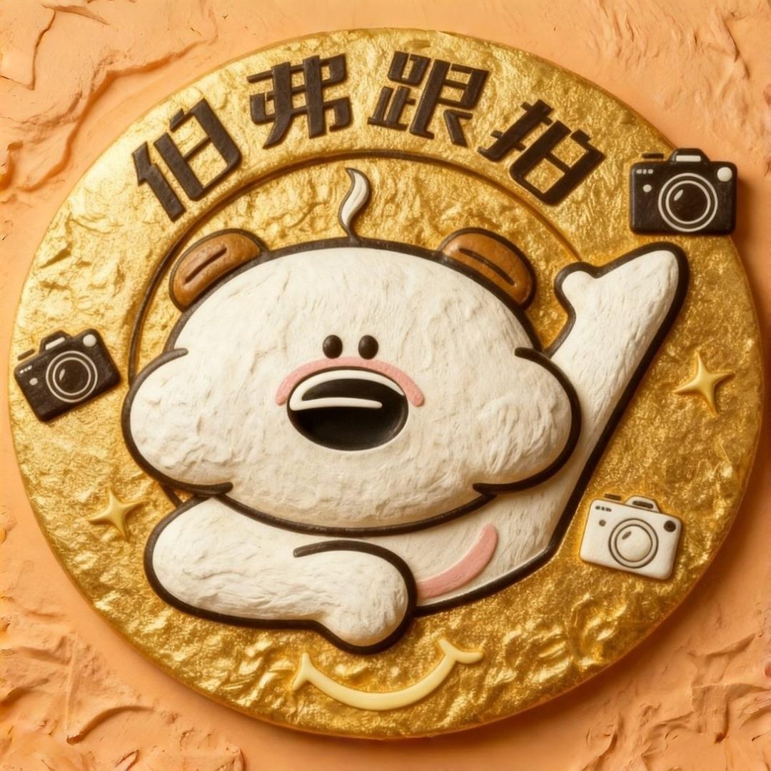 伯弗摄影项目分享总部号