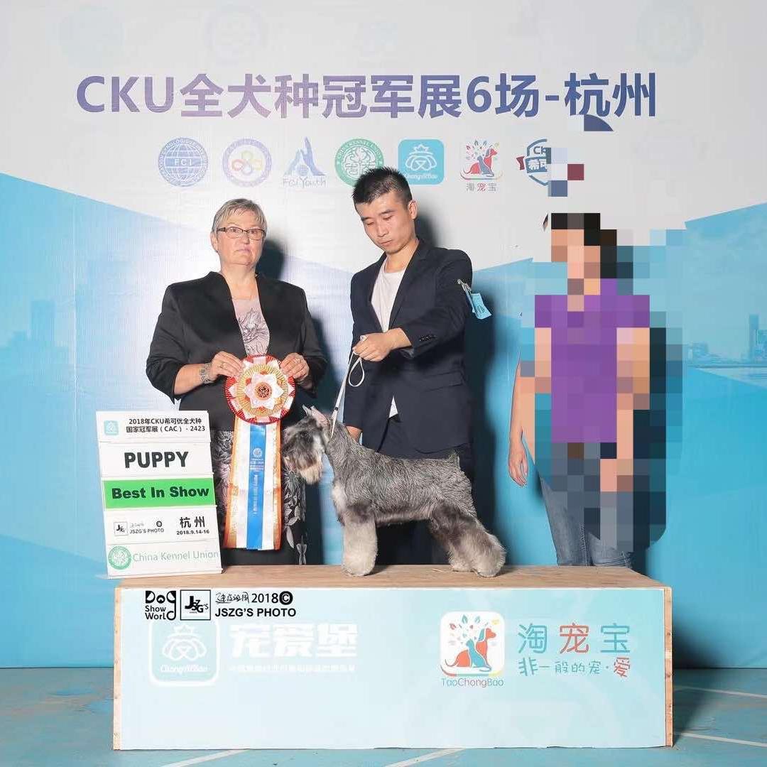 有它喵喵宠物生活馆