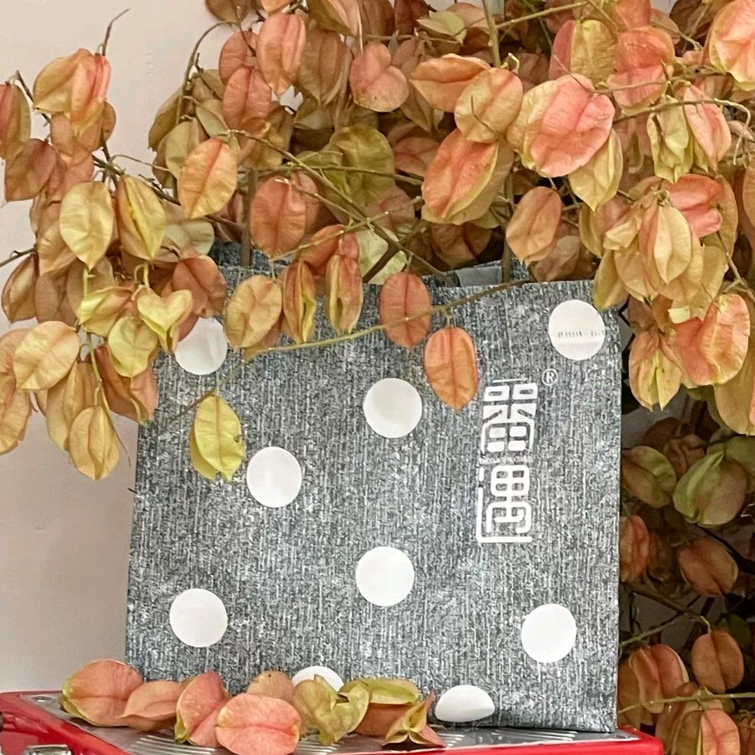 番遇木都车凤展店