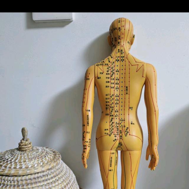 脊愈保健服务中心